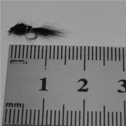 FLY1124 - G R Hares Ear Ny - Str.18<br>