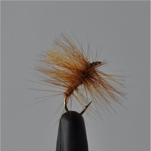 FLY1144 - G H Regnorm Sr.10.<br>