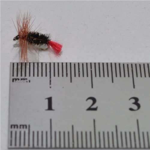 FLY1232 - Red Tag – Str. 16<br>