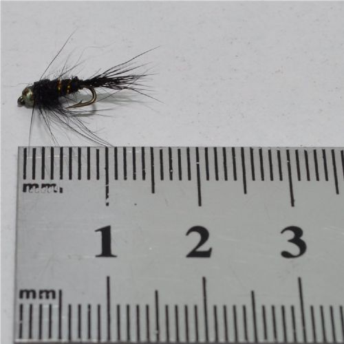 FLY1244 - G H Hares Ear - Str.18<br>