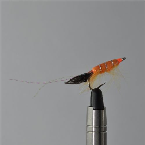 FLY1313 - Cdc Shrimp Slw - Str.6<br>