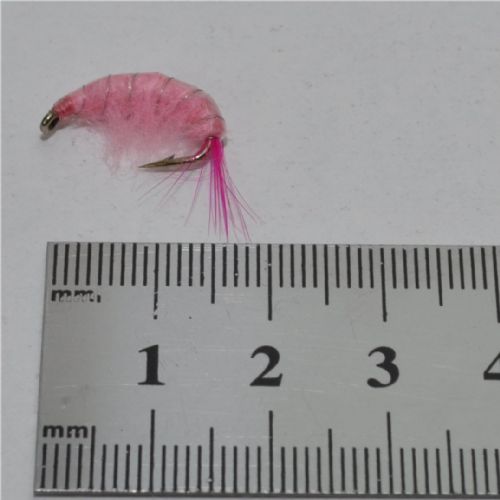 FLY1324 - Gammarus - Str.8<br>