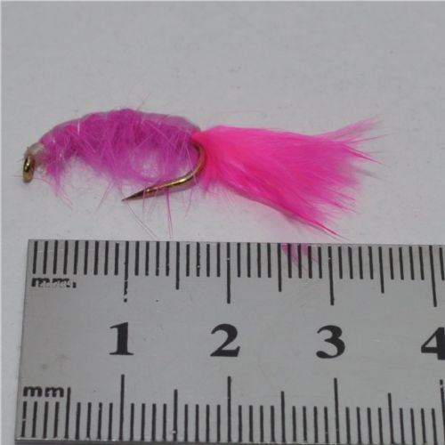 FLY1333 - Gammarus - Str.6<br>