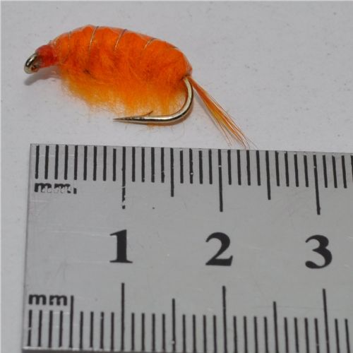 FLY1342 - Gammarus - Str.6<br>