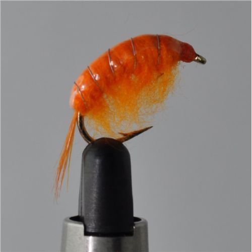 FLY1342 - Gammarus - Str.6<br>