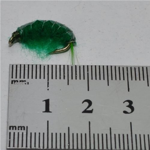 FLY1352 - Gammarus - Str.8<br>