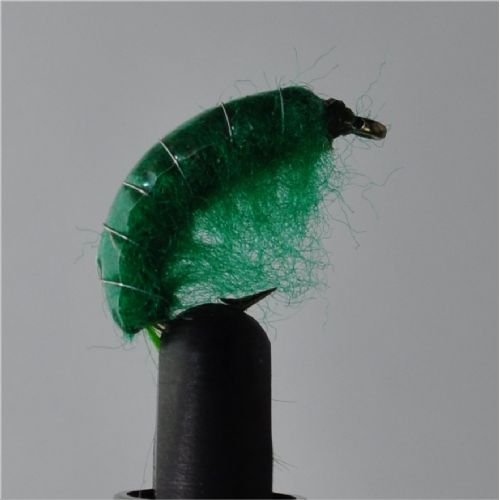 FLY1352 - Gammarus - Str.8<br>