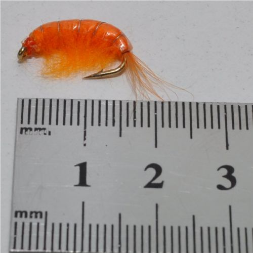 FLY1354 - Gammarus - Str.8<br>