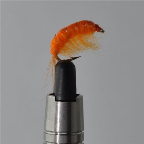 FLY1354 - Gammarus - Str.8<br>