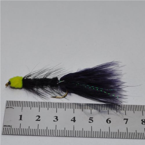 FLY1355 - Egg-sucking-leach - Str.8<br>