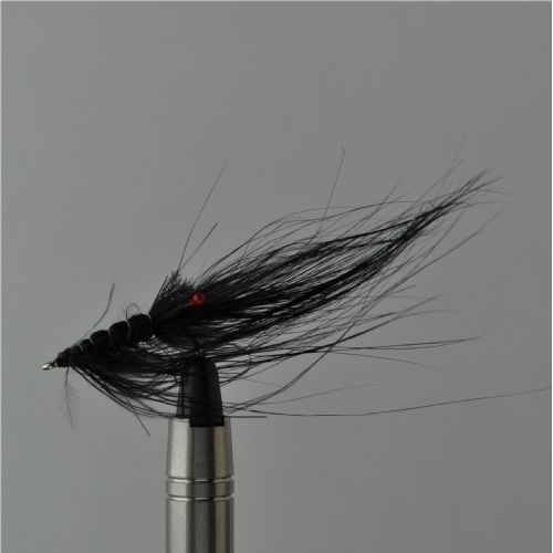 FLY1635 - Pattegris-spay-hackle - Str.8<br>