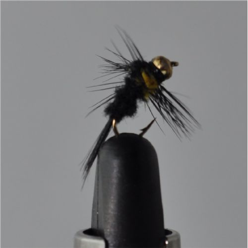 FLY1732 - GH Montana - Str.16<br>