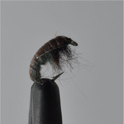 FLY1744 - CZ Red Hydropsyche - Str.12<br>
