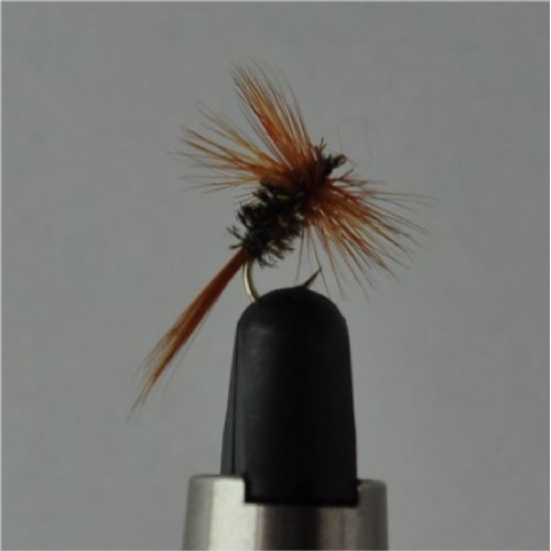 FLY2511 - Brown Peacock - Str.16<br>