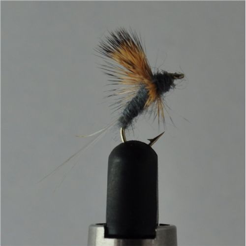 FLY2521 - Compara Dun Grey - Str.14<br>