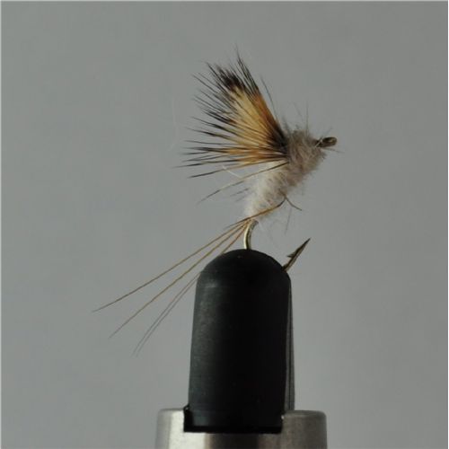 FLY2541 - Compara Dun Grey - Str.16<br>