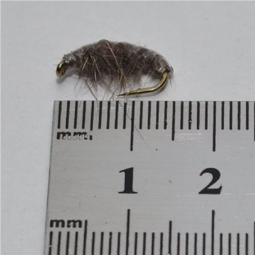 FLY2563 - Gammarus - Str.10<br>