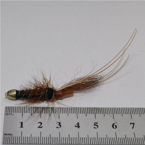 FLY3242 - Frances CH Brass Black 35mm<br>