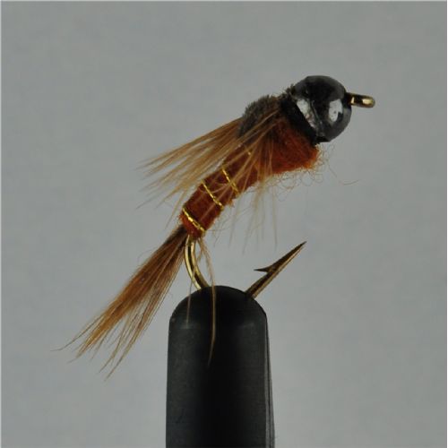 NY0111 - GH Brown Nymph 14<br>