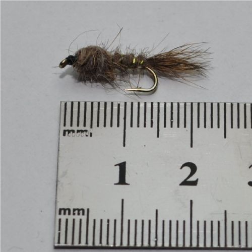 NY0131 - GR-hares-ear-ny - Str.12<br>