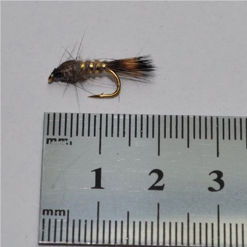 NY0132 - GR-hares-ear-ny - Str.14<br>