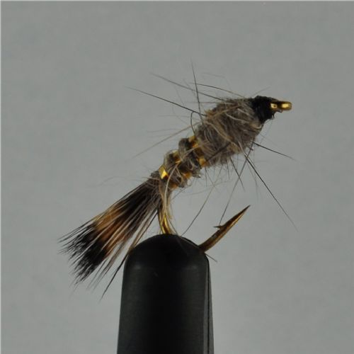 NY0132 - GR-hares-ear-ny - Str.14<br>