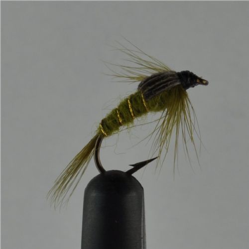 NY0163 - Olive ny - Str.12<br>