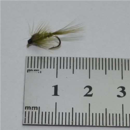 NY0164 - Olive ny - Str.14<br>