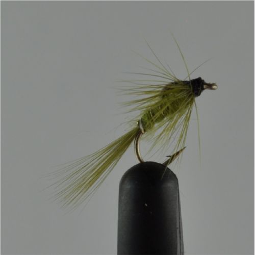 NY0164 - Olive ny - Str.14<br>