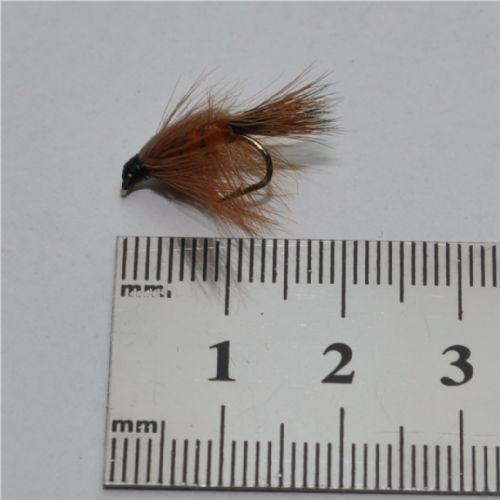 NY0211 - Freshwater Shrimp Orange - Str.12<br>