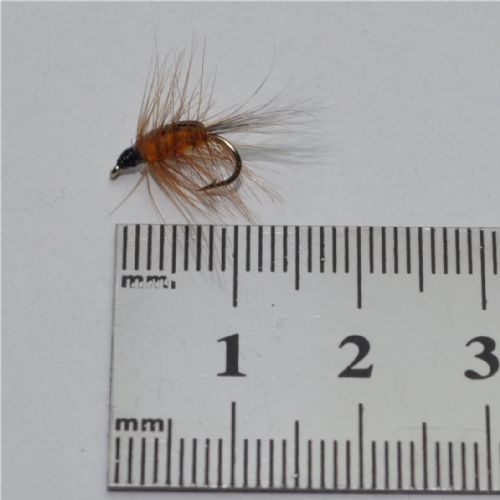 NY0212 - Freshwater Shrimp Orange - Str.14<br>
