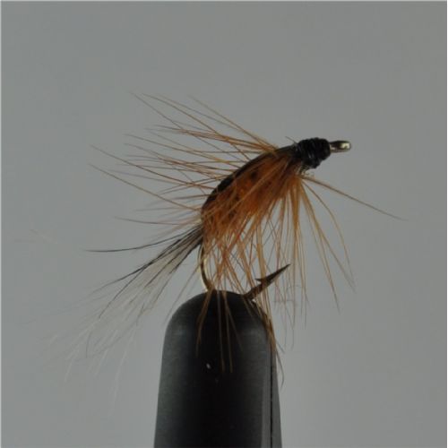 NY0212 - Freshwater Shrimp Orange - Str.14<br>