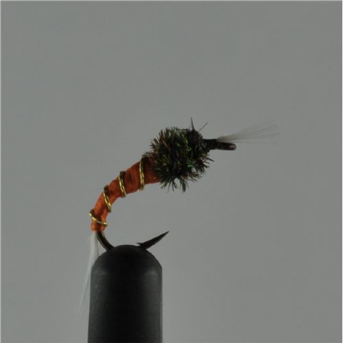 NY0213 - Orange Buzzer - Str.12<br>