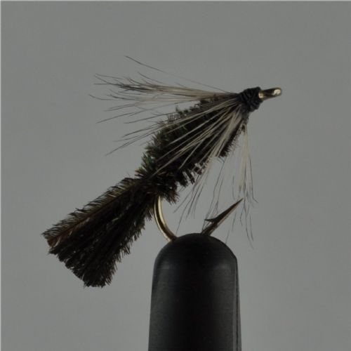 NY0214 - Peacock Ny (GASKA NY) - Str.12<br>