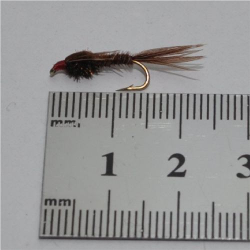 NY0223 - Pheasant tail Ny - Str.12<br>