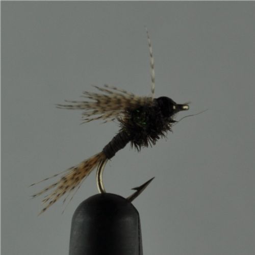 NY0243 - May Fly Nymph - Str.14<br>