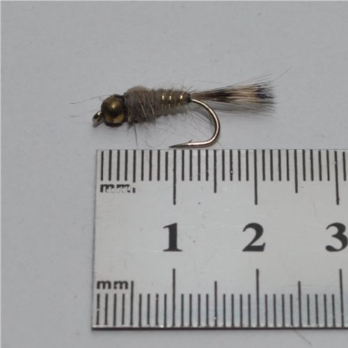 NY0254 - G/H Hares Ear - Str.18<br>