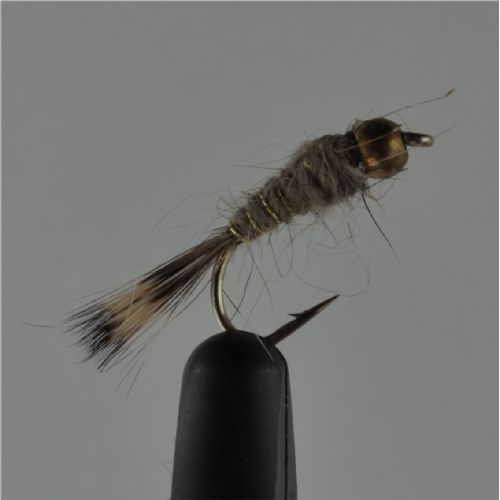 NY0254 - G/H Hares Ear - Str.18<br>
