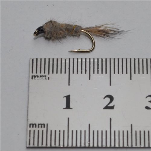 NY0261 - GR Hares Ear - Str.10<br>