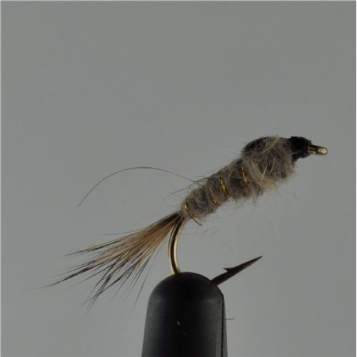 NY0261 - GR Hares Ear - Str.10<br>