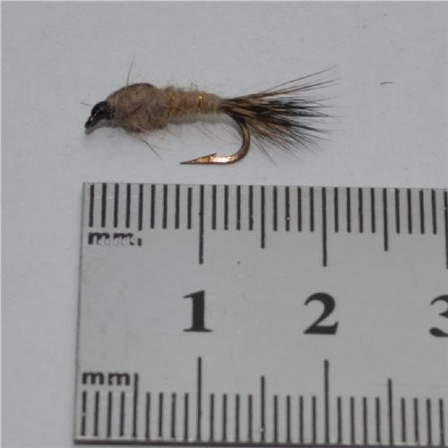NY0262 - GR Hares Ear - Str.12<br>