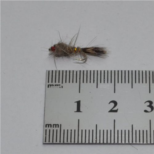 NY0263 - GR Hares Ear - Str.14<br>