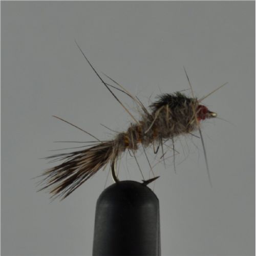NY0263 - GR Hares Ear - Str.14<br>
