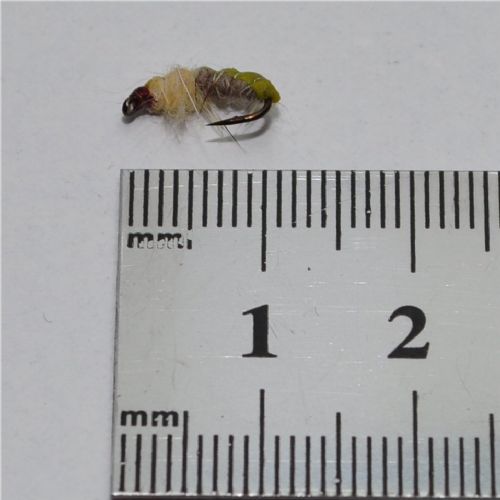 NY03103 - Hares ear and creame  - Str.12<br>