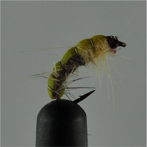 NY03103 - Hares ear and creame  - Str.12<br>
