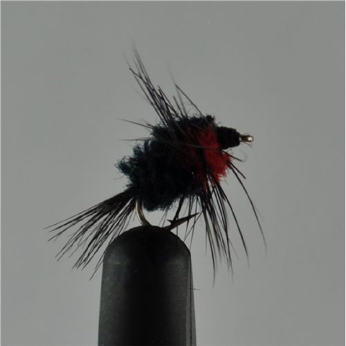 NY0374 - Montana  S/S Ny - Str.16<br>