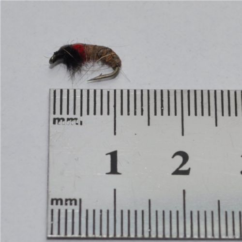 NY0382 - CZ Red Rhyacoplya - Str.14<br>
