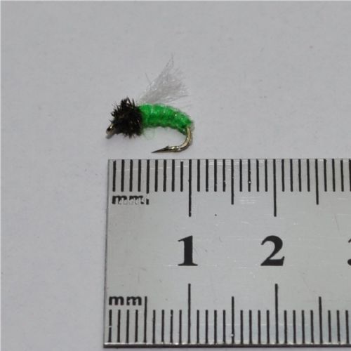 NY0383 - Z-Wing Pupa Lime - Str.14<br>