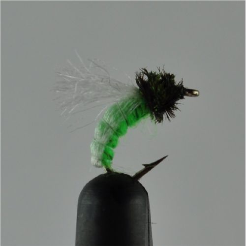 NY0383 - Z-Wing Pupa Lime - Str.14<br>