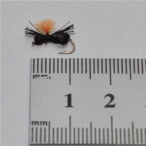 NY0391 - Black Beetle - Str.14<br>